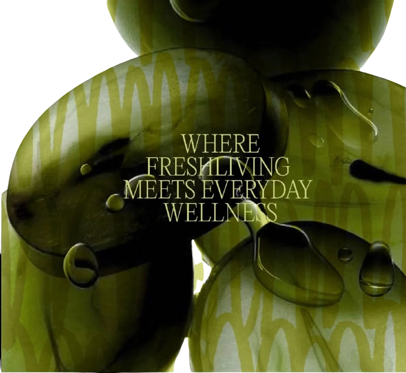 Where fresh living meets everyday wellness